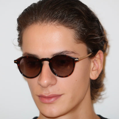 The Regent in Tortoise