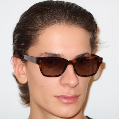 The Windmill in Tortoise