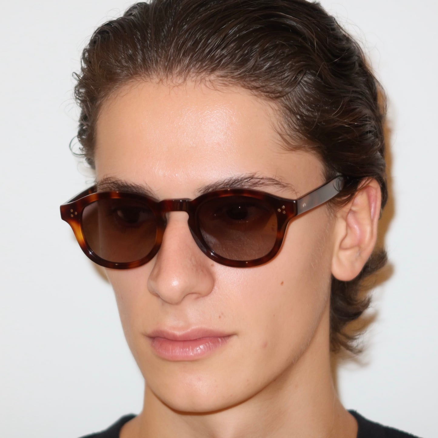 The Drayton in Tortoise