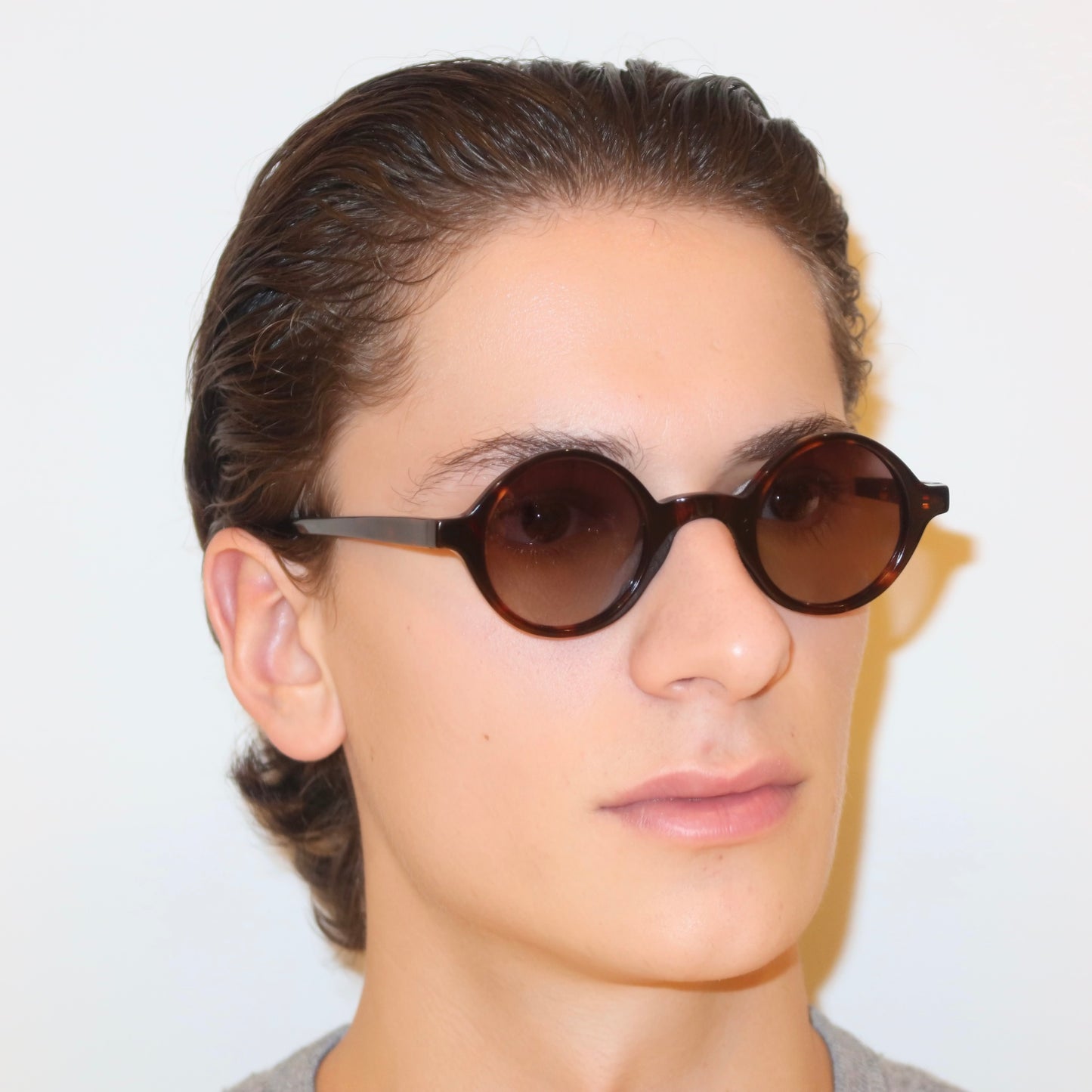 The Admiral in Tortoise