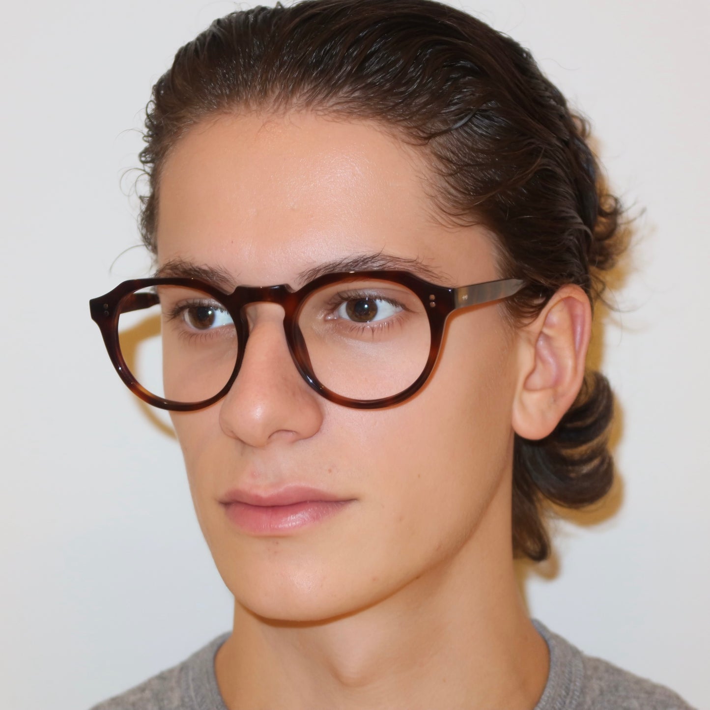 The William in Tortoise