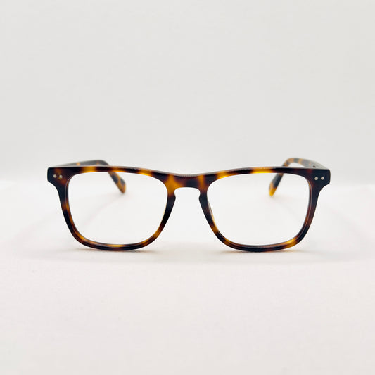 The Wilfred in Tortoise
