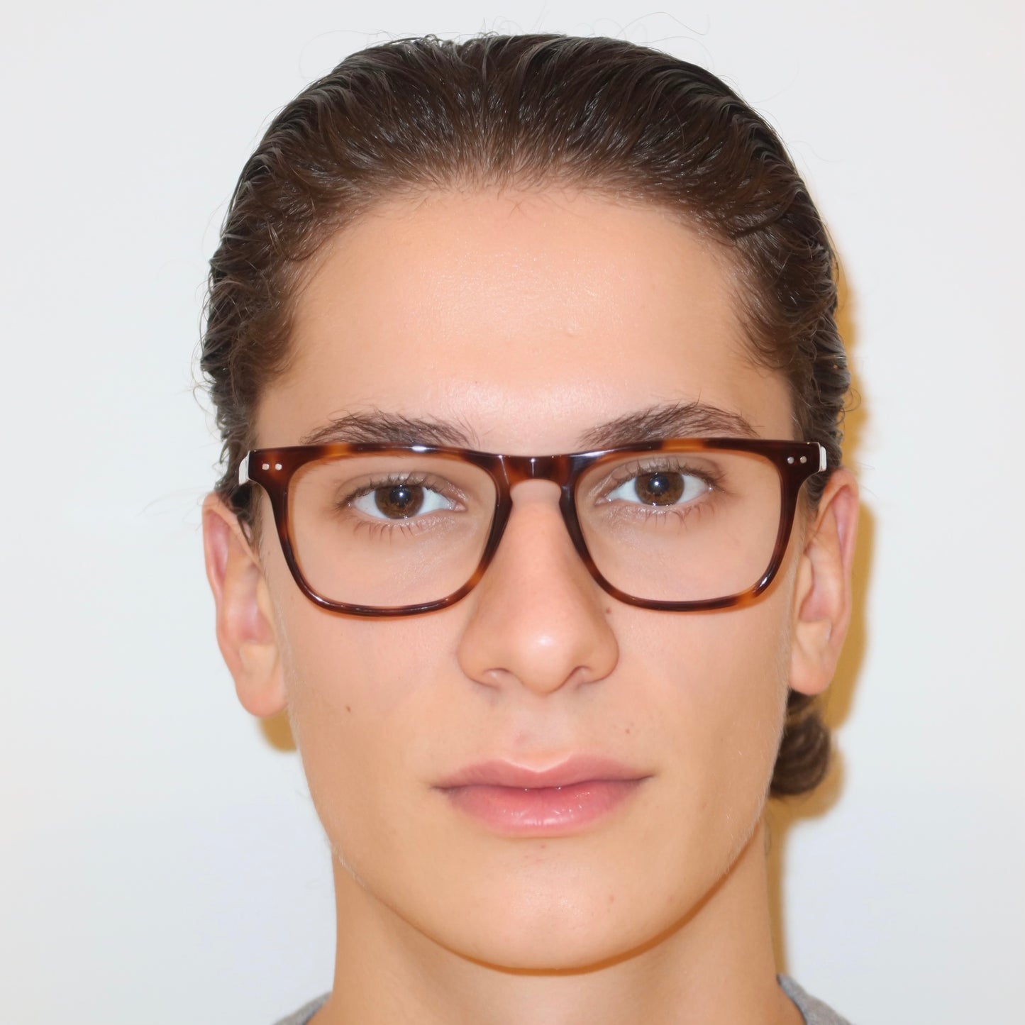 The Wilfred in Tortoise