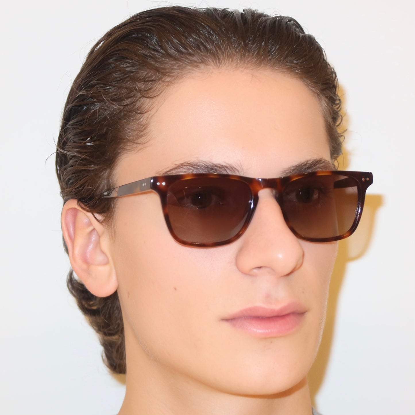 The Wilfred in Tortoise