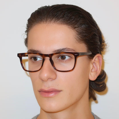 The Wilfred in Tortoise