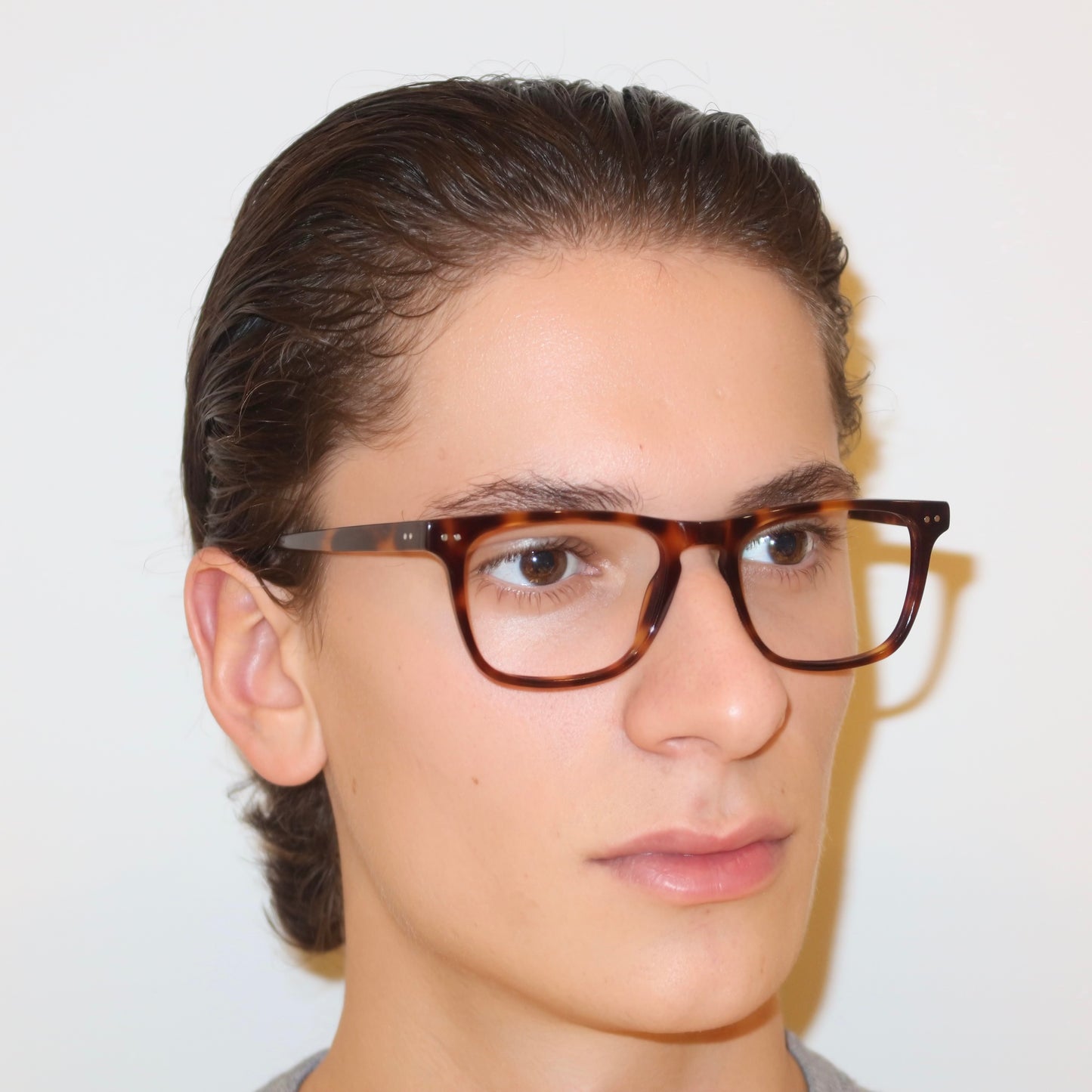 The Wilfred in Tortoise