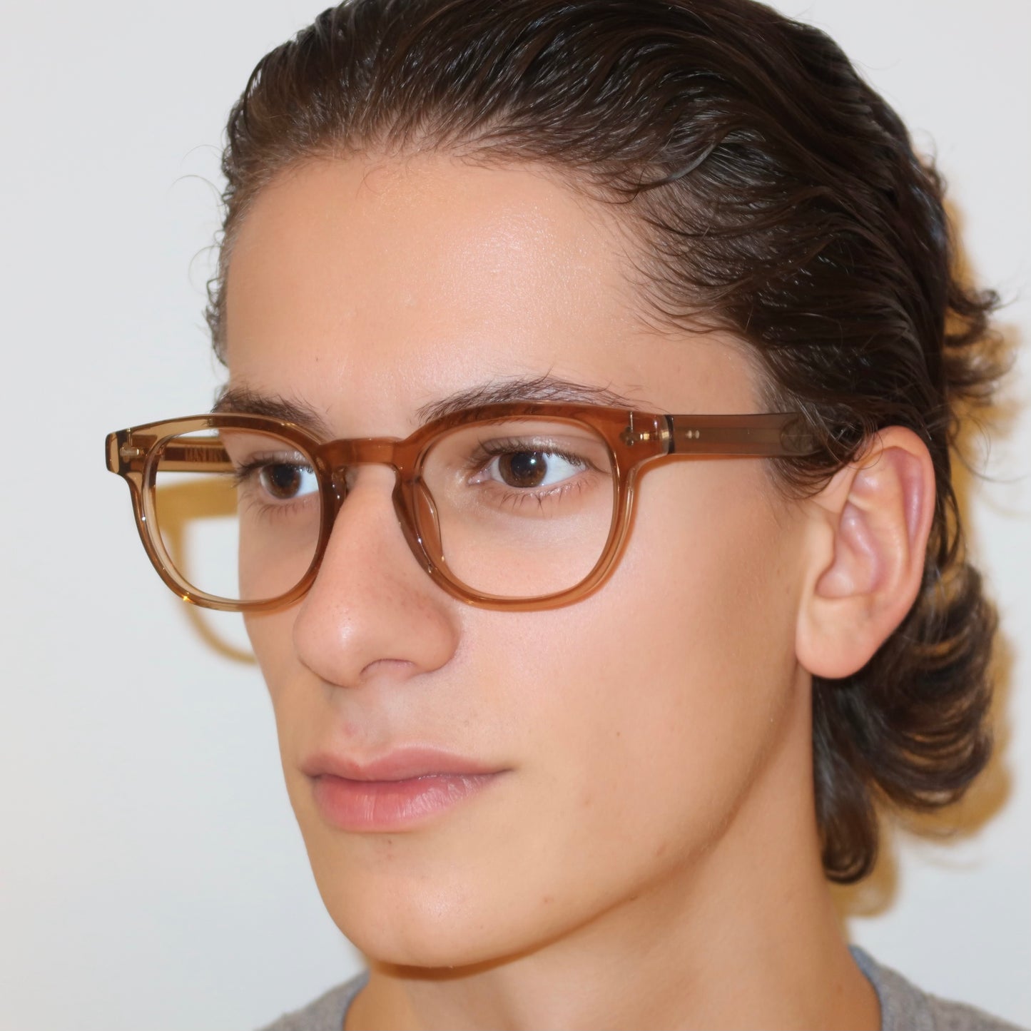 The Swan in Transparent Brown