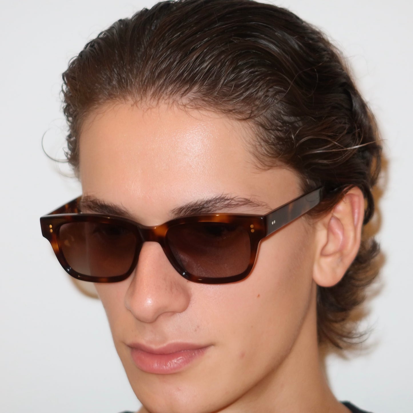 The Windmill in Tortoise