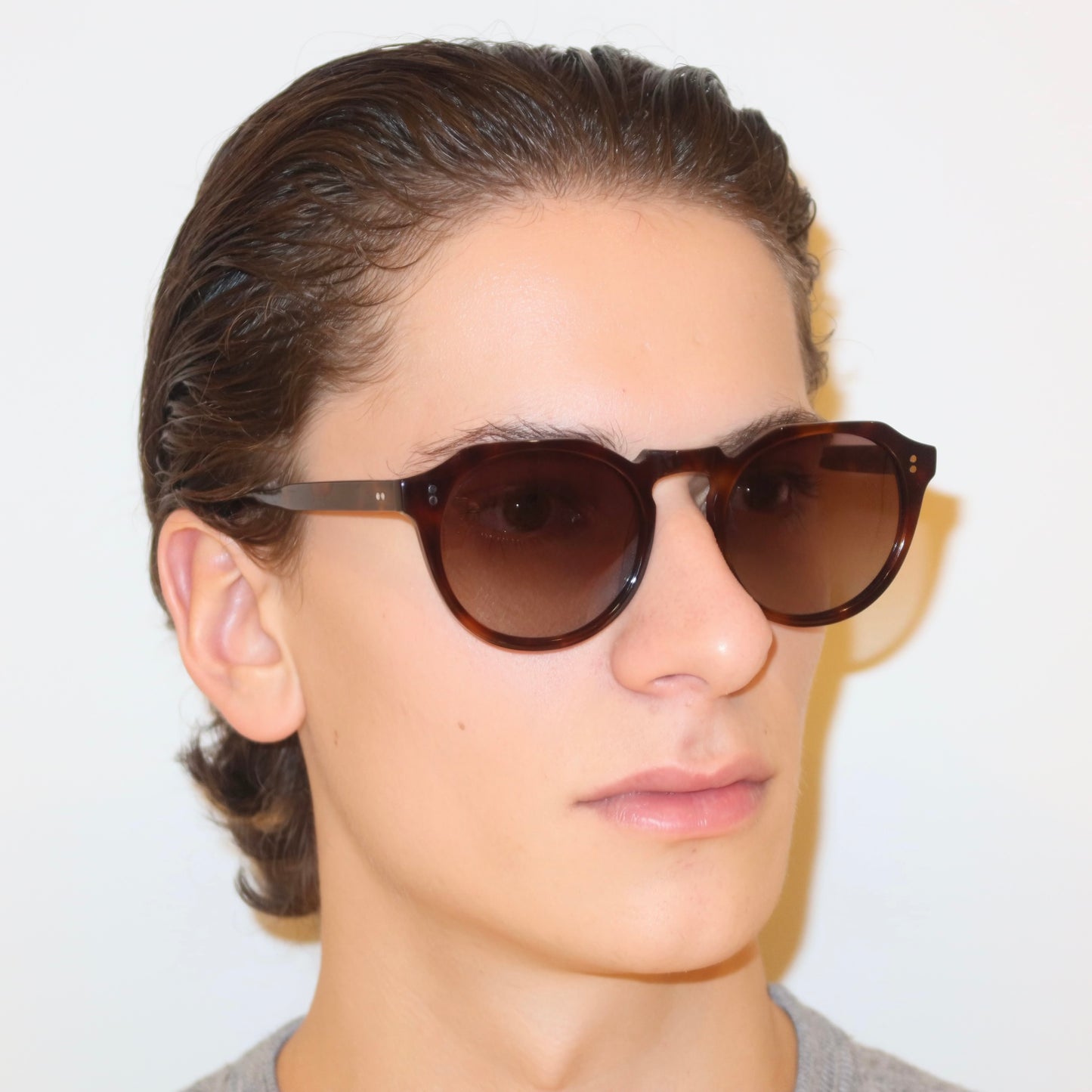 The William in Tortoise