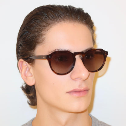 The William in Tortoise