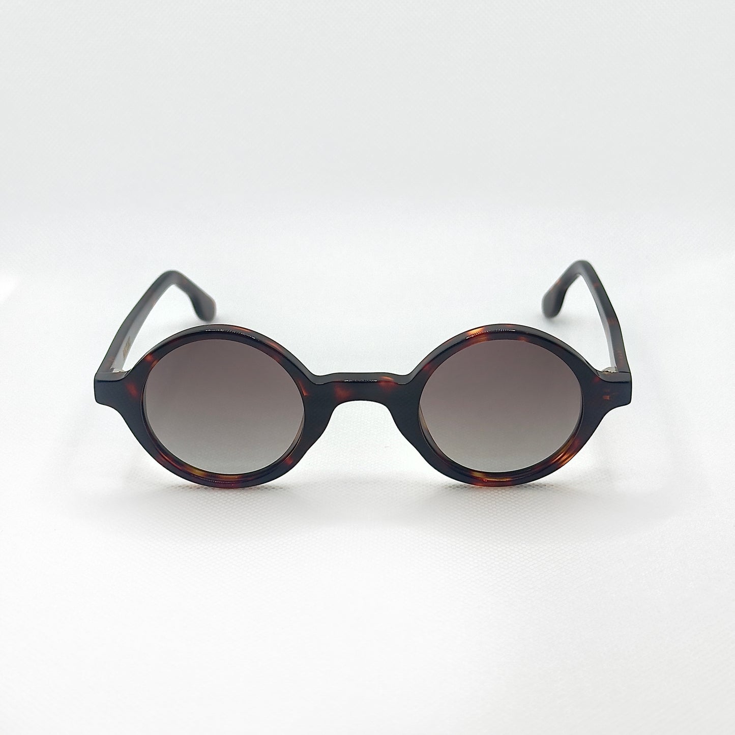 The Admiral in Tortoise