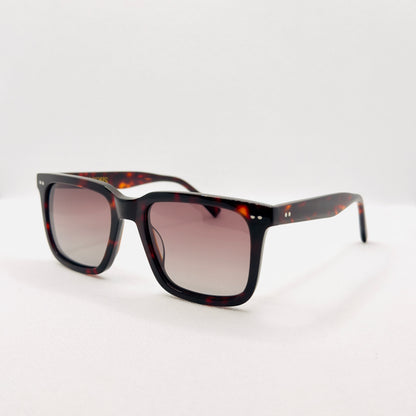 The George in Tortoise