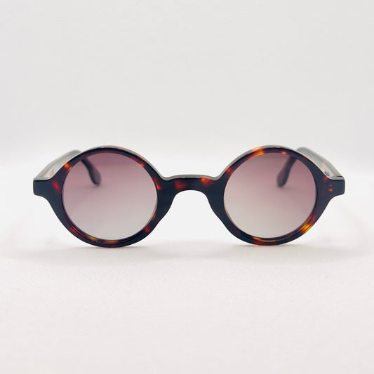 The Admiral in Tortoise