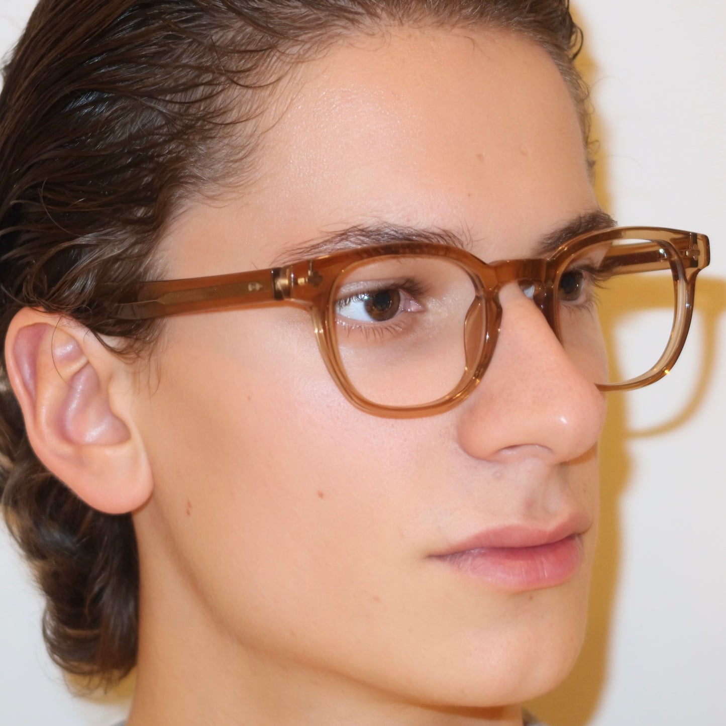 The Swan in Transparent Brown