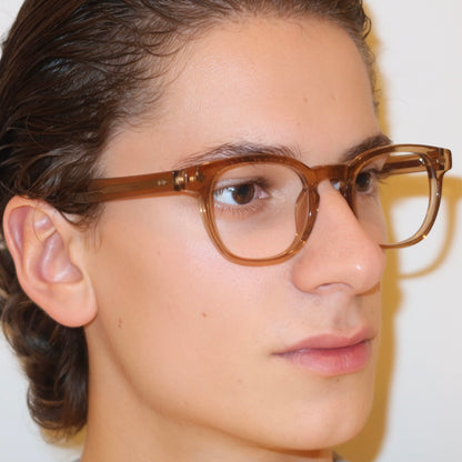 The Swan in Transparent Brown