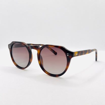 The William in Tortoise
