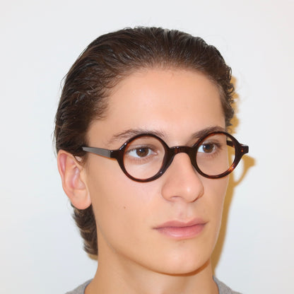 The Admiral in Tortoise