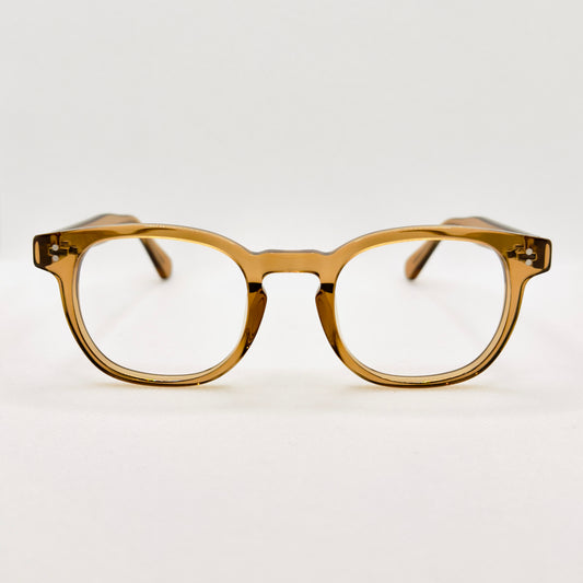 The Swan in Transparent Brown